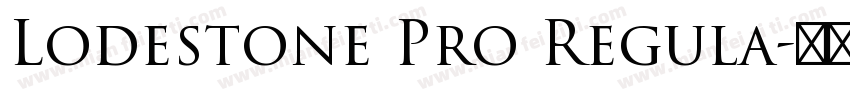 Lodestone Pro Regula字体转换